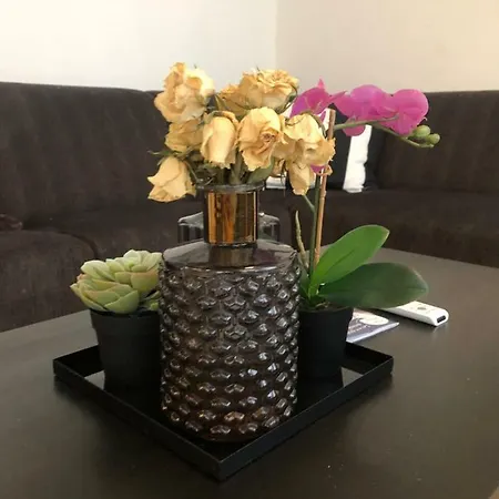 B&B Barndesteeg 27 암스테르담